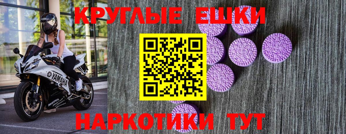 Ecstasy Punisher  ЭКСТАЗИ  Вход с VPN  Березники  Экстази бентли 