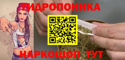 индика Апрелевка