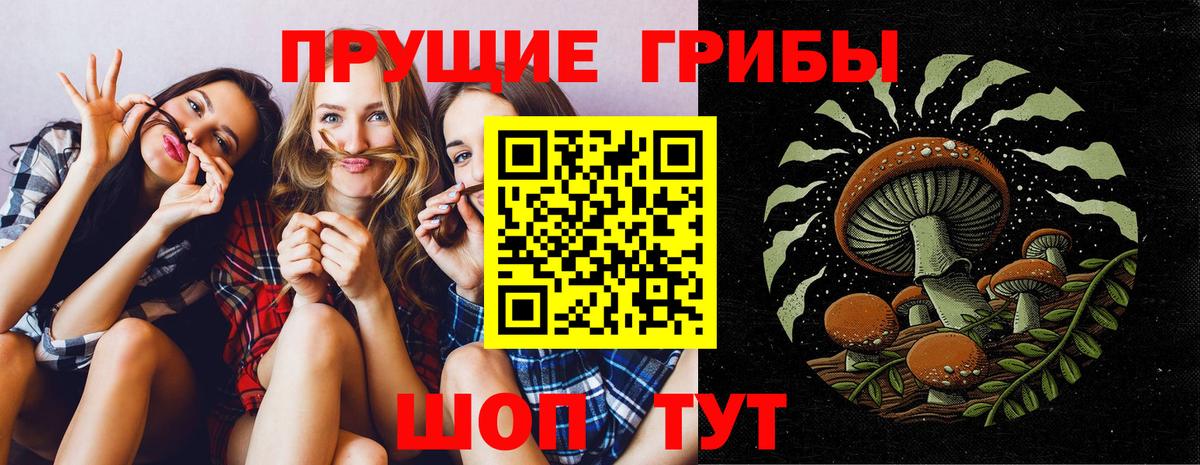 Березники  Галлюциногенные грибы прущие грибы  Галлюциногенные грибы Cubensis  Вход с VPN 